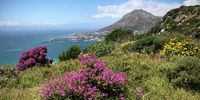  </p>
<p>CAPTION: Simonstown from Redhill – Summer - Sea - Flowers</p>
<p> </p>
<p>CREDIT: Janice Ashby