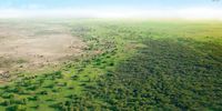 The original vision behind the Great Green Wall has evolved as implementers engaged with communities and realised that the project was misinformed (From the FAO website: “The idea that initially inspired the initiative has given way to the vision of a mosaic of sustainable land use practices”). (Photo: UNCDD / Wikipedia)<br>