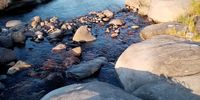 Gone to walk in the water. Photographer: Rita Smith
