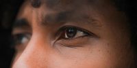 Our modern vision evolved from an ancient one‑eyed worm creature