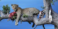 Dining out. Image: Tara Turkington/Flow Communications