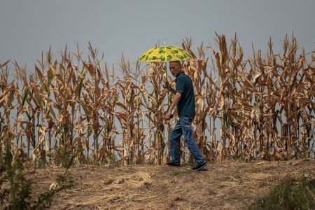 China’s recovery likely dealt another blow from extreme weather