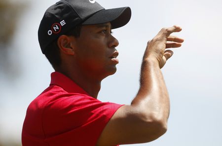 Tiger: how far has the giant fallen?