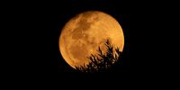 “Rising moon tinted by air pollution.” Photographer Beverley Dupouy