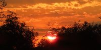 I took this at sunset on Saturday at Sondela game reserve - Bela Bela.