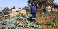 Prince Simon Zulu is determined to remain on the land where his family keeps cattle and goats and also grows vegetables and fruit.  (Photo: Tony Carnie)