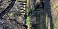 Tranquillity in the City, Oriel Stream, Bedfordview Johannesburg. Image: Gloria Britain
