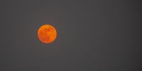 epa09591622 The Moon glows in the sky during a partial lunar eclipse, at the evening time in Dhaka, Bangladesh, 19 November 2021. A partial lunar eclipse, the last one of 2021, occured on 19 November and it is visible from Spain, other parts of Europe, North and South America, Australia and Asia.  EPA-EFE/MONIRUL ALAM