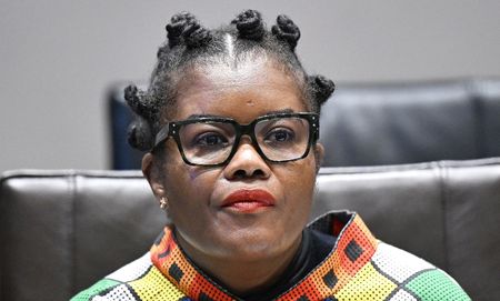 Nkabane reveals names of panellists who oversaw controversial Seta board appointments