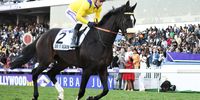 DURBAN, SOUTH AFRICA - JULY 02: Main race horses during the Hollywoodbets Durban July 2022 at Hollywoodbets Greyville Racecourse on July 02, 2022 in Durban, South Africa. (Photo by Darren Stewart/Gallo Images)