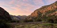 Solo on the Baviaans Canyon Trail — five days slack‑packing