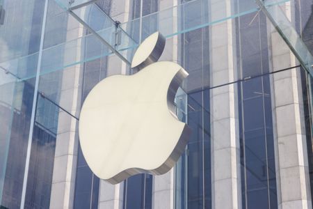 Apple raises concern over first porn app on iPhone under EU rules