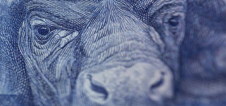 Seek a currency safe haven, despite SA’s short-term economic respite