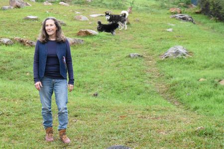 Power at UCT: When the ‘Executive’ follows the BAC’s lead, individuals are trampled