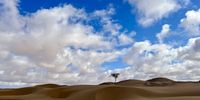 Dunes of the Western Sahara. (Picture: Jake Thorpe)