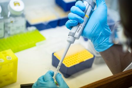World’s largest biomedical research funder lifts ban on South Africa