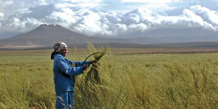 How to brew a cup of South African business inspiration — with rooibos, espresso and a splash of hope