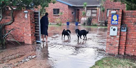 Failing water pipes threaten one of Nelson Mandela Bay’s fastest-growing areas