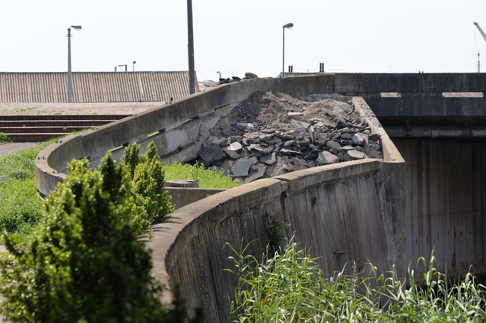 kingfisher nests road rubble