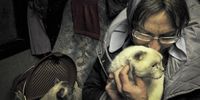 epa09827541 An old woman evacuated from Mariupol holds a cat on a bus on the Ukraine-Russia border at the border crossing point Veselo-Voznesenka in the Rostov region, Russia, 15 March 2022. Civilians were able to leave the city, on 15 March, thanks to humanitarian corridors organised by the Russian military, with housing and food have been prepared in Russia for those who fled from Mariupol. On 24 February Russian troops had entered Ukrainian territory in what the Russian president declared a 'special military operation', resulting in fighting and destruction in the country, a huge flow of refugees, and multiple sanctions against Russia.  EPA-EFE/ARKADY BUDNITSKY