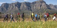 On Saturday 19 August, the Pilgrimage of Hope started in Stellenbosch, withThuli Madonsela and the participants walking 15 km to Pniël. (Photo: Brenton Geach)