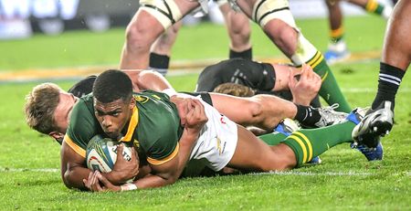 It's a go — Springboks and All Blacks to resume full tours in 2026