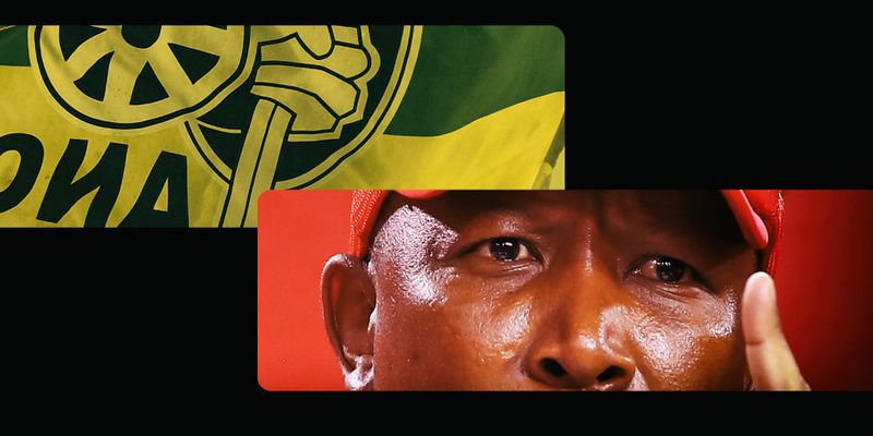www.dailymaverick.co.za