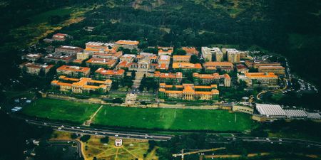 The destruction of capitalism is necessary for real transformation