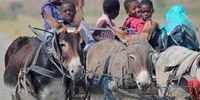 Children sitting on a donkey cart. Image: Bluesnap / Pixabay 