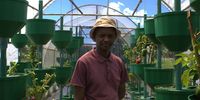 Monyane Matsose stands inside one of the greenhouses built by volunteers at the Kitso Information Development Centre. (Photo: Masego Mafata)</p>
<p>