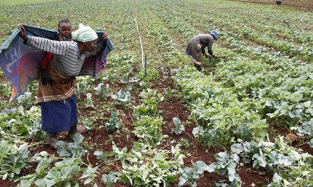 Land, firebrands and grandstands: just another day in Parliament