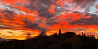 Sunset in Tuscany (tree of life): Photo: Anja Capuzzimati</p>
<p>