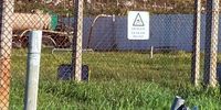 David-Babboon-Fencing