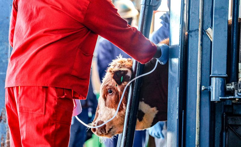Farmers call for independent FMD test result verification