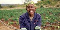 New insights highlight how South African entrepreneurs are building resilience and creating opportunity