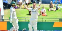 Proteas fight
