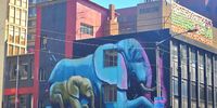 Johannesburg’s walls are giant canvases for the city’s stories