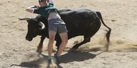 A 'mozo' dodges a young bull at the bullring in San Sebastian de los Reyes, Madrid, Spain, after the traditional bull run, 29 August 2023. Six people were injured during the one minute and 39 seconds-long bullrun. The fiestas at San Sebastian de los Reyes are known as 'Pamplona Chica' (little Pamplona) and are held every year in August.  EPA-EFE/David Fernandez