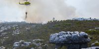 Water-intensive fire suppression efforts on for the second day of the Newlands fire in Cape Town. (Photo-SANParks)