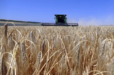 Russia pulls the plug on Ukraine grain export deal