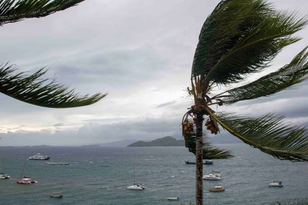 At least 34 killed by Cyclone Chido in Mozambique, UN agency says