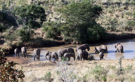 The good, the bad and the bafflingly baseless ugly of the Biodiversity Bill