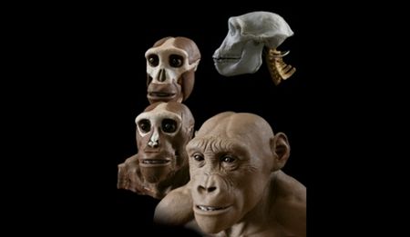 Looking on the past: The artistry and science of John Gurche