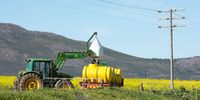 Bread & Wine: The chemical trail through wheat and grapes (Part Five)