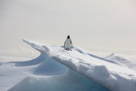 The worst journey in the world