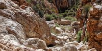 swartberg-karoo