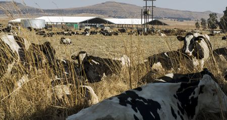 Vrede Dairy: Empowerment project finally handed over to farmers