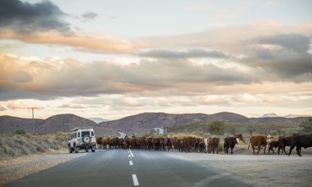 Tannie Maria’s Advice and Recipe Column: Muesli Buttermilk Rusks