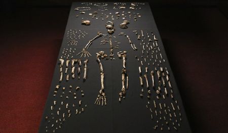 Meet the neighbours – Homo naledi’s coming out party