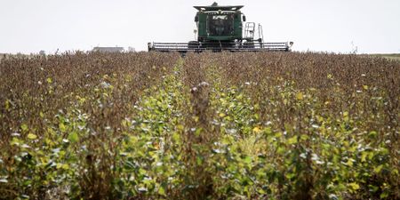 EU plans Trump-style import curbs on food, FT reports